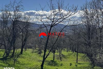 Casă cu 3 camere cu Teren 3025 Mp în Ghioșești - 16
