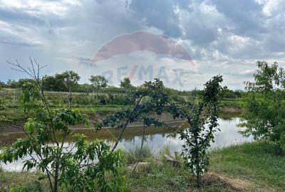 TEREN DE VANZARE - 29,656mp Bozanta Mica - 12