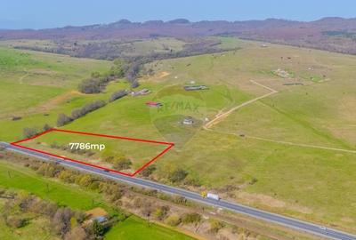 Teren 7786 mp/Curți construcții/Benzinărie - 2