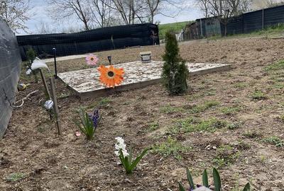 Teren de 450 mp, în Micălaca - 3