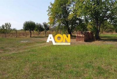 Teren intravilan de Vanzare, Zona Platou-Cetate, 700MP - 1