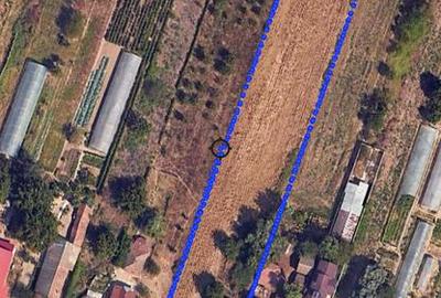 Casă cu 4 camere cu Teren 3687 Mp în Central - 2