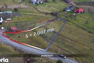 Teren de 2007 mp, în Șișești