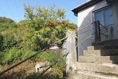 Casa individuala cu teren generos - 2