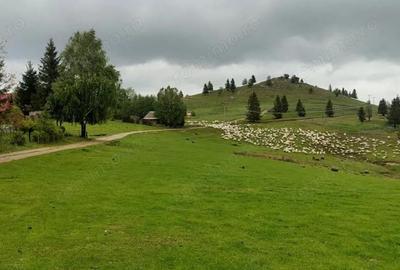 Teren de 1113 mp, în Paltin