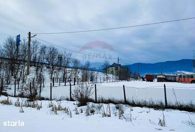 Teren de 9574 mp, în Iacobeni - 10
