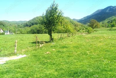Teren de 25500 mp, în Cheile Râșnoavei - 9