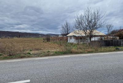 Teren intravilan in Sanduleni/Bacau de vanzare - 12