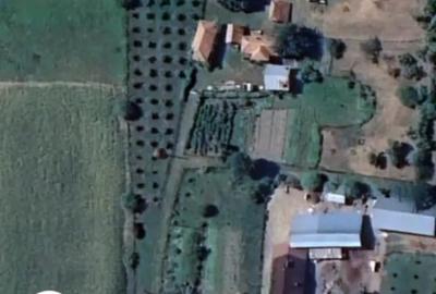 Casă cu 6 camere în Bârseștii de Sus - 1