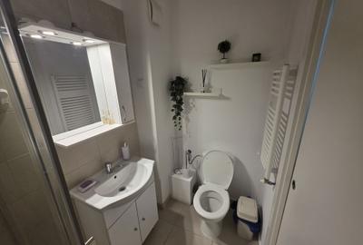 Garsonieră nedecomandată în Timișoara - 8