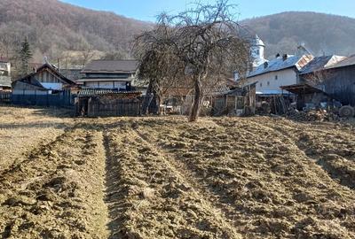 Teren agricol sat.Voroveni - 6