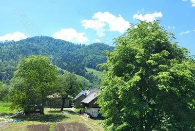 Teren si casa Sat Tarcau zona Garii - 6