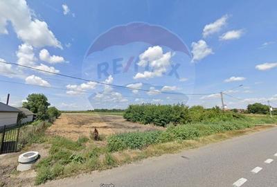 Teren Construcții intravilan de 19100 mp, în Secuienii Noi