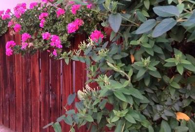 Casa de vanzare la 1 km de Timi?oara . Cine dore?te o via?a lini?tita dupa serviciul stresant de ora - 5