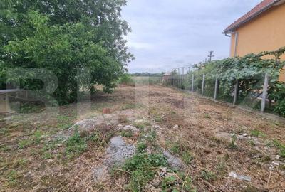 Casă cu 2 camere cu Teren 4600 Mp în Bercu - 5