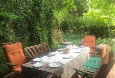 6 camere, curte si terasa | parter in vila | Foisorul de Foc - Ferdinand