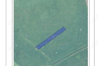 Teren de 30000 mp, în Sânmihaiu Român