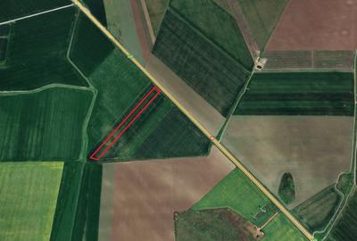 Constanta - Mihail Kogalniceanu - teren intravilan 12.500 mp - 2