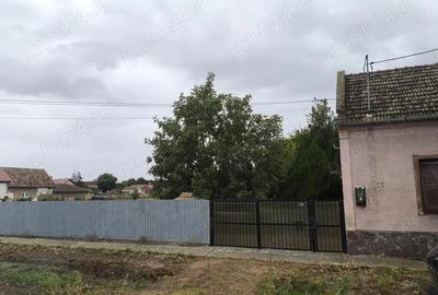 Casă cu 4 camere cu Teren 2539 Mp în Cenad - 5