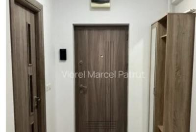 Brancoveanu luica sud park city - 19
