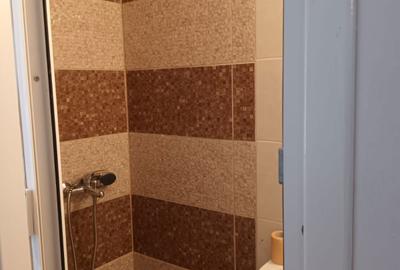 Garsonieră decomandată în Narcisa - 5