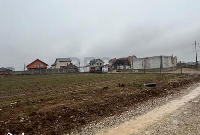 Teren de 600 mp, în Oșorhei - 5
