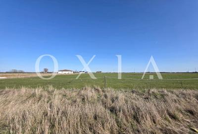 Teren Construcții intravilan de 8304 mp, în Giroc - 2