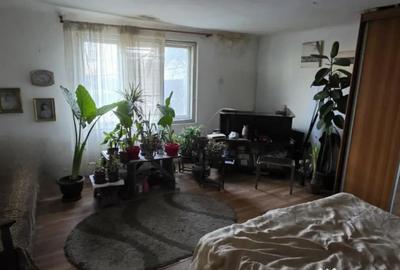 Casă cu 2 camere în Iris - 3