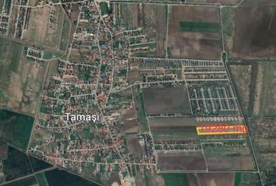 Vanzare teren 19280 mp, Corbeanca, Tamasi, deschidere 53ml - 2