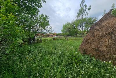 TEREN VANZARE VALEA DOFTANEI - 6