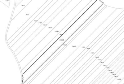 Teren extgravilan agricol Uliesti, ID: R2263433 - 4