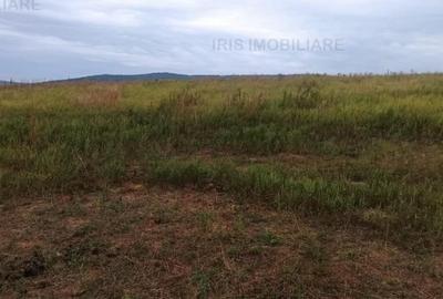 11500euro!Teren intravilan,priveliste superba,ideal constructie casa! - 3