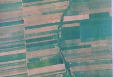 Teren 6700 mp pentru investiții langa soseaua Brasov_Tărlungeni (zona Izvor) - 1