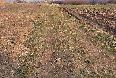 Spațiu comercial, în Marginea - 1