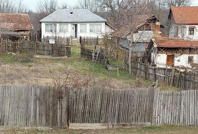 Casă cu 2 camere în Central - 4