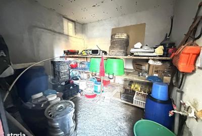 Casă cu 3 camere în Țelna - 18