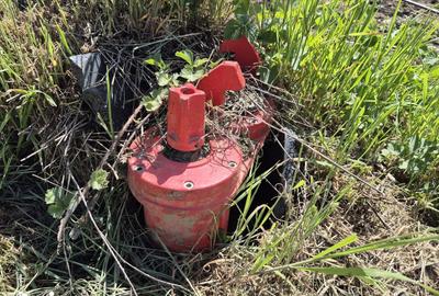 Teren de 1000 mp, în Balotești