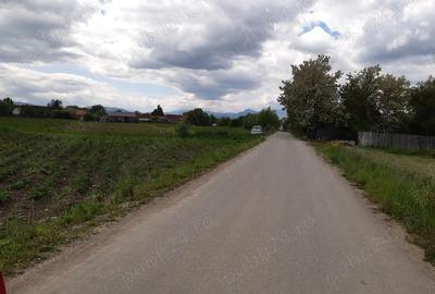 Teren de 5000 mp, în Lunca Calnicului - 6