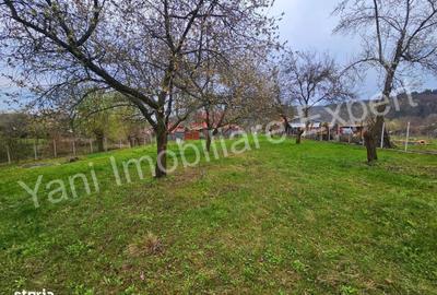 Casă cu 2 camere în Mușătești - 19