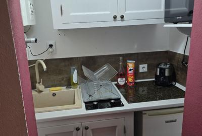 Apartament cu 2 camere nedecomandat în Ultracentral - 4