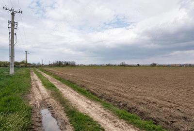 Teren de 5663 mp, în Oșorhei - 6
