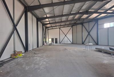 Spațiu industrial, de 580 mp, în Jilava - 5