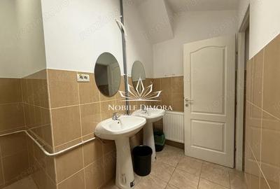 Spațiu comercial, de 163 mp, în Take Ionescu - 10