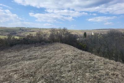 Spațiu comercial, în Țeline - 4