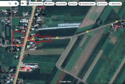 Casă cu Teren 3976 Mp în Dumbrăvița - 10