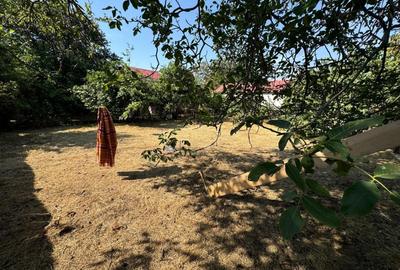 Teren cu casă demolabilă zona centrală Eforie Nord - 2