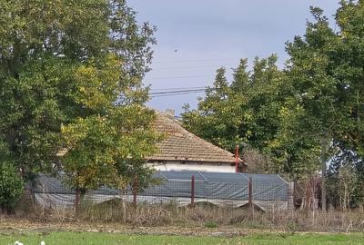 Teren de 51000 mp, în Amzacea - 4