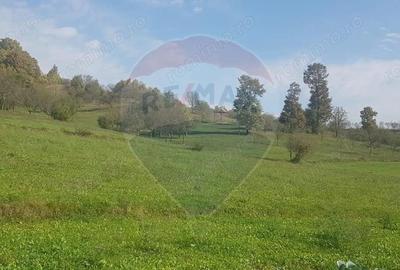 Casa si teren 1.6 ha de vanzare, in Rona de Jos - 5