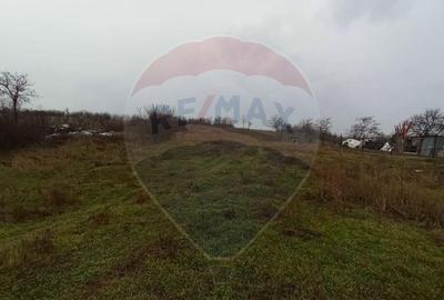 Teren de vanzare in Pielesti Teren de vanzare in Pielesti - 1