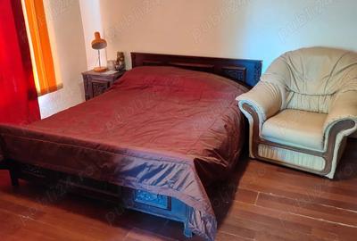 Casa batraneasca de vanzare - 5